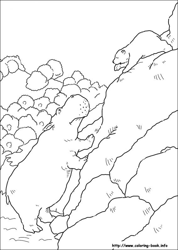 Little Polar Bear coloring picture